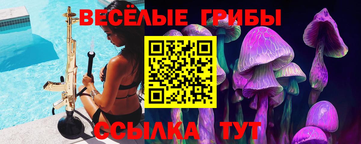 где найти наркотики  Галлюциногенные грибы Magic Shrooms  Вход с VPN  Касимов 